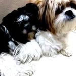 Erendida Yaxiri Vega Almazán - @erendidayaxirivega - Instagram