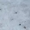erendirachavez6 - @erendirachavez6 - TikTok