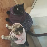 Laura Eréndira Chávez Fuentes - @lauraerendirachavezfuentes - Instagram