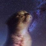 Erendira Cisneros - @erandiracisneros - Instagram