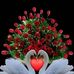 Erendira Ferrer - Facebook