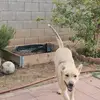 Erendira Ramirez - @erendiraramirez32 - TikTok