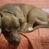 Erendira Rivera - @erendira.rivera4 - TikTok