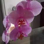 Ereni Silva - @ereni4165 - Instagram