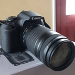 Erez Golan - @erez.golan.5473 - Instagram