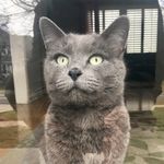 Erez Gur-Esh - @erezguresh - Instagram