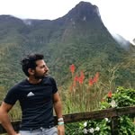 Erez Levi - @erezlevi1 - Instagram