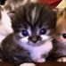 Iris Solomon - Facebook