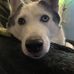 Eris Wolfe - Facebook