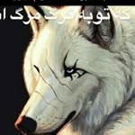 Erfan.behnam - @fgcgyff1 - Instagram