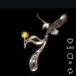 ERFAN_SHEIKH - @erfan_sheikh_7 - Instagram