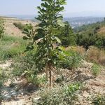 Erhan Ayan - @erhnayan - Instagram