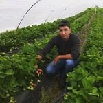 Erhan Erdem - @erhan.erdem.5836 - Instagram