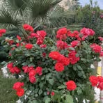 Erhan Erdem - Facebook