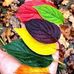 Erhan Oruc - Facebook
