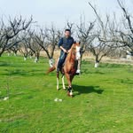 Erhan Oruç - @erhan.oruc.376 - Instagram