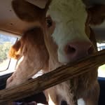 615892 - @erhard_grossen - Instagram