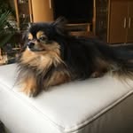 Erhard Meier - @erhard.meier.142 - Instagram