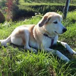 Gerhard Meier - @gerhard.meier.9216 - Instagram
