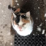 Erhard Schmidt - @erhard.schmidt_1953 - Instagram