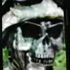 erhardschmidt107 - @erhardschmidt107 - TikTok