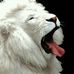 Erhard Schneider - Facebook