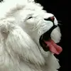 erhardschneider0 - @erhardschneider0 - TikTok