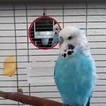 Gerhard Schneider - @gerhard.schneider.14203 - Instagram