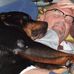 Erhard Vogts - Facebook