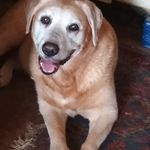 Gerhard Vogt - @gerhardvogt071 - Instagram