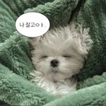 Quynh Chy - @eri_chi22 - Instagram