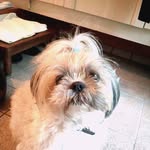 Eri Ito - @ito3838 - Instagram