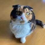 Eri Ito - @ito_sashiko - Instagram
