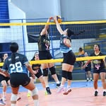 Erica Jorge - @ericarochajorge - Instagram