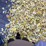 eri kaneko - @erikaneko - Instagram