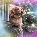 Eri Maeda - @maeda2856 - Instagram