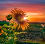 Eri Ramirez - Facebook