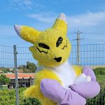 ☯Eri Renamon🦊 - @erirenamon - Instagram