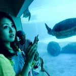 Eri Shibata - @erishibata1126 - Instagram