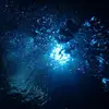 eri_sugimoto - @2184397647 - TikTok