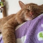 Tsuno Eri - @tsuno_eri - Instagram