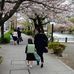 Eri Yamaguchi - Facebook