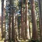 Eriko Yazawa - @erikoyazawa - Instagram