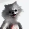 eriana_blanco - @eriana_blanco - TikTok