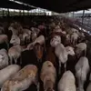 Eriberto Barrera Aguilar - @eriberto.barrera - TikTok