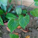 Eriberto Castro - Facebook