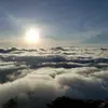 eribertocastro - @eribertocastro - TikTok