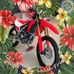Eric Abarca - Facebook