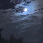 Eric Abarca - @abarca4442 - Instagram