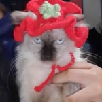 Aloe Nodba - @abdon_eric - Instagram